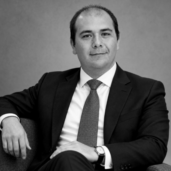 Felipe Seguel